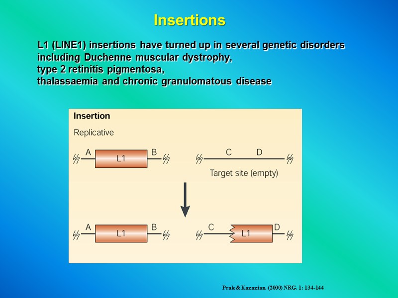 L1 (LINE1) insertions have turned up in several genetic disorders including Duchenne muscular dystrophy,